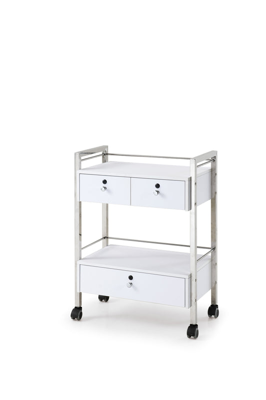 DP-6104 Hospital Trolley | Medical Trolley with wheel | moving trolleys for beauty shop